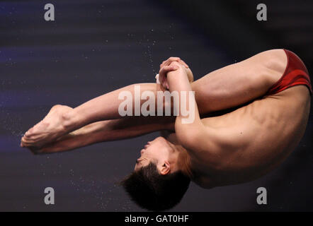 Diving - Fina Diving World Series 2008 - Giorno 2 - Ponds Forge Foto Stock