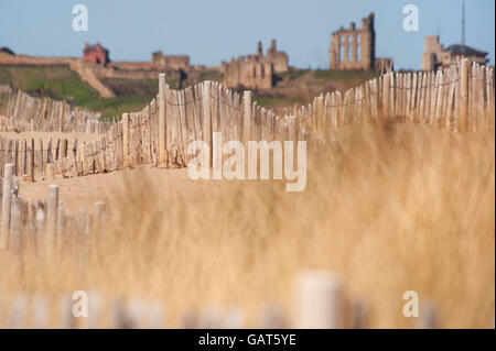 La sabbia trappola sulla scherma Liitlehaven beach, South Shields, South Tyneside Foto Stock