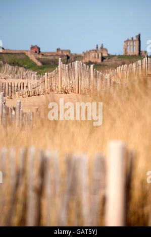 La sabbia trappola sulla scherma Liitlehaven beach, South Shields, South Tyneside Foto Stock