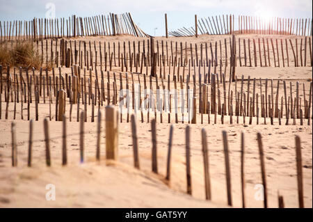 La sabbia trappola sulla scherma Liitlehaven beach, South Shields, South Tyneside Foto Stock