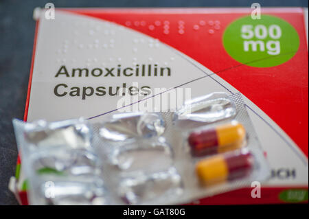 Un pacco di Amoxicillin 500mg Antibiotici capsule Foto Stock