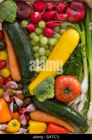 Zucchine in giallo e vari altri ortaggi e frutta come una naturale ancora in vita per organici e salutari del cibo vegetariano Foto Stock