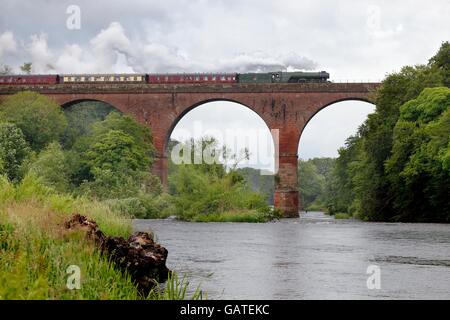 Treno a vapore LNER A3 classe 4-6-2 n. 60103 Flying Scotsman. Wetheral viadotto, Wetheral, Cumbria, England, Regno Unito, Europa. Foto Stock
