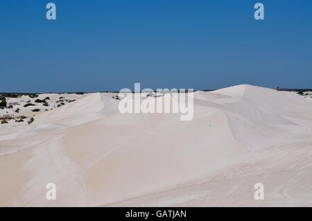 Il paesaggio del deserto a Lancelin dune di sabbia con colline incontaminate e il minimo di vegetazione in Lancelin, Western Australia. Foto Stock