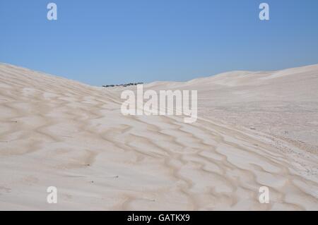 Il paesaggio del deserto a Lancelin dune di sabbia con immacolate spiagge di sabbia bianca sotto un cielo blu chiaro in Lancelin, Western Australia. Foto Stock