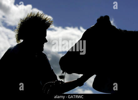 Royal Highland Show, 2008. Un agricoltore prepara la sua mucca prima di giudicare al 168 Royal Highland Show 2008 a Ingliston, Scozia. Foto Stock