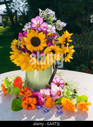 Una sistemazione informale del giardino estivo fiori in un verde caraffa di smalto su un tavolo da giardino.girasoli, Cosmos, nasturtium, borragine, pisello di sementi Foto Stock