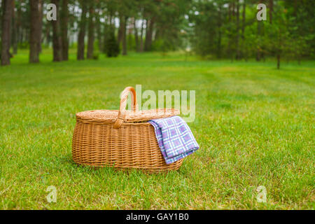 Cesto per pic-nic con blu bianco tovagliolo a scacchi sull'erba. Estate parco prato in background Foto Stock