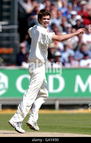 Cricket - secondo test npower - Inghilterra contro Zimbabwe. James Anderson in Inghilterra celebra la presa del cazzo di Sean Carlisle dello Zimbabwe Foto Stock