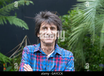 Rolling Stones chitarrista,Ronnie Wood della RHS Hampton Court flower show a un cavalletto di sostegno delle persone con tumore all'intestino Foto Stock