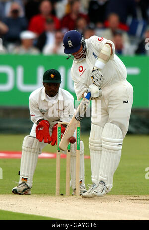 Cricket - secondo test npower - Inghilterra / Zimbabwe. Anthony McGrath, inglese Foto Stock