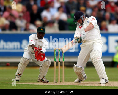 Cricket - secondo test npower - Inghilterra / Zimbabwe. Anthony McGrath, inglese Foto Stock