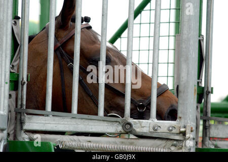 Corse ippiche - Epsom - Vodafone Derby Meeting. Un cavallo attende nelle bancarelle sotto gli ordini degli antipasti Foto Stock