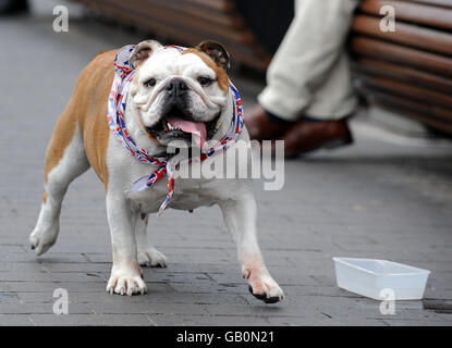 Molly, un Bulldog britannico si raffredda con un po' d'acqua mentre fa una passeggiata a Middlesbrough, oggi. Foto Stock