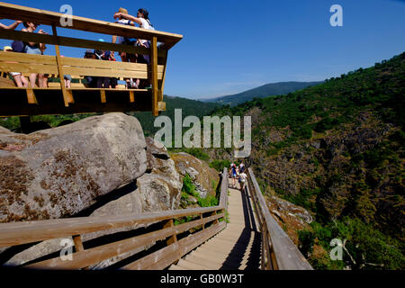 Paiva passerelle in arizcun, Portogallo, Europa Foto Stock