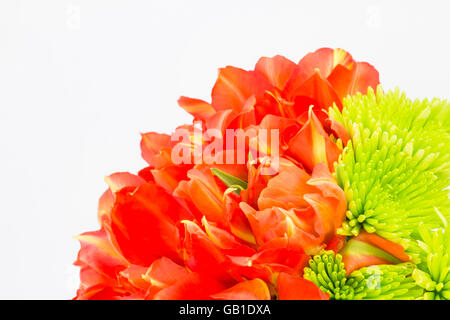 Bouquet di orange double petaled tulipani pappagallo verde con crisantemi e spazio di copia Foto Stock