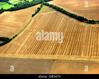 Azienda agricola Stock Foto Stock