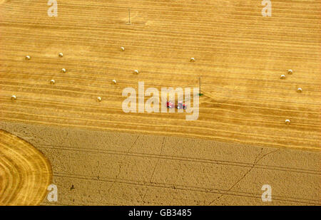 Ambiente- Farmland - Essex Foto Stock