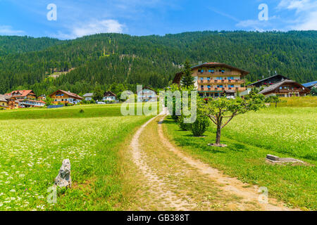 Strada rurale sul prato verde con fiori con tradizionali case di campagna in background, lago Weissensee, Alpi, Aust Foto Stock