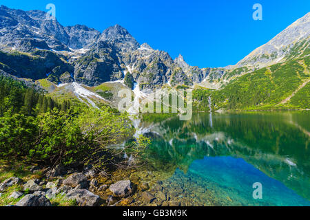 Acqua verde di Morskie Oko lago d'estate, Monti Tatra, Polonia Foto Stock