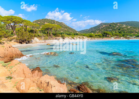 Azzurro mare cristallino acqua della spiaggia di Palombaggia in Corsica, Francia Foto Stock