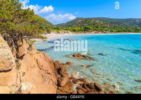 Azzurro mare cristallino acqua della spiaggia di Palombaggia in Corsica, Francia Foto Stock