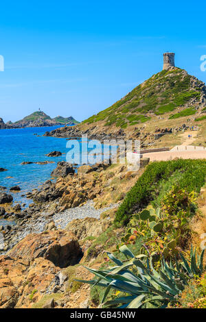 Vista della torre sul capo de la Parata, Corsica, Francia Foto Stock