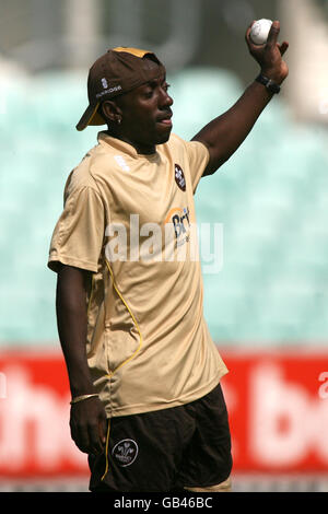 Cricket - NatWest Pro40 League 2008 - Divisione due - Surrey Brown Caps contro Northamptonshire Steelbacks - The Brit Oval. Pedro Collins, Surrey Foto Stock