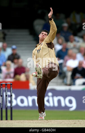 Cricket - NatWest Pro40 League 2008 - Divisione due - Surrey Brown Caps contro Northamptonshire Steelbacks - The Brit Oval. Robert Frylinck, Surrey Foto Stock