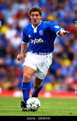 Calcio - fa Barclaycard Premiership - Birmingham City v Tottenham Hotspur. David Dunn di Birmingham Foto Stock