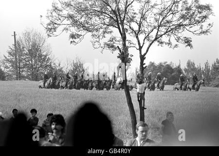 I pickets scaldano gli alberi per tenere un occhio sulla polizia montata, dispiegati nel campo di mais dietro la pianta di coking Orgreave.nove pickets sono stati arrestati e un poliziotto ferito durante ulteriori scontri sulla linea di picket minatori. Foto Stock