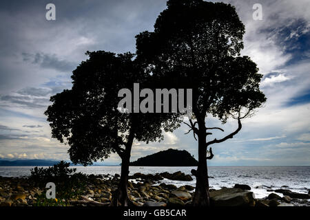 Una bellissima vista guardando attraverso gli alberi a Pulau Manukan island in Malaysia. Foto Stock