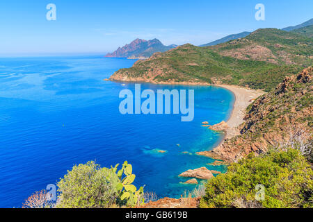 La splendida baia di Porto Azzurro con acqua di mare, Corsica, Francia Foto Stock