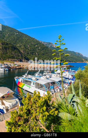 PORTO, CORSICA - giu 27, 2015: barche nel porto porto sulla soleggiata giornata estiva. Il porto è un piccolo villaggio a ovest di Corsica Foto Stock
