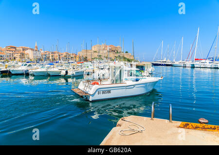 CALVI, Isola di Corsica - giu 28, 2015: imbarcazione turistica uscire il porto di Calvi. Questa città ha una splendida marina ed è molto popolare gita Foto Stock