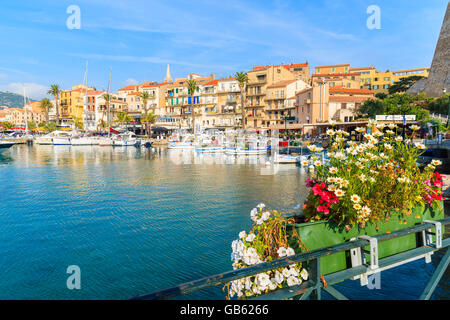 CALVI, Isola di Corsica - giu 29, 2015: fiori in primo piano con vista del porto di Calvi con case colorate in background. Questo traino Foto Stock