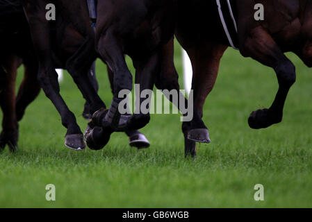 Horse Racing - Wetherby Racecourse Foto Stock