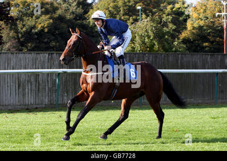 Corse ippiche - Autunno Construction Raceday - Nottingham Racecourse. Abbazia di Radegund cavalcata da jockey Ted Durcan durante il fondo europeo di allevatori (Div. 2) Foto Stock