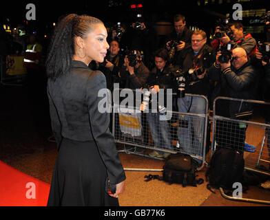 Il Times BFI London Film Festival 2008 Screening di "i segreti della vita delle api" - Londra Foto Stock