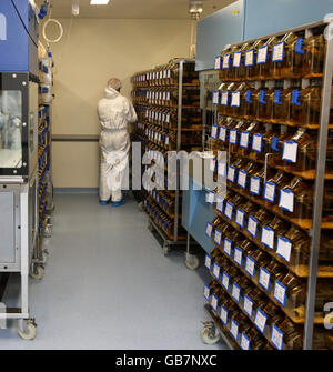 Nuove Scienze Biomediche edificio all'Università di Oxford Foto Stock