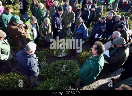 Annuale di Tenbury Wells auction Foto Stock