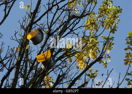 "Girando la stagione' exhibition Foto Stock
