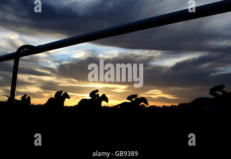 Corse ippiche - Lingfield Park. Azione generale da Marsh Green Handicap Stakes Foto Stock