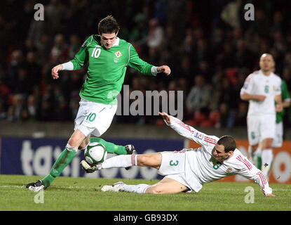 Calcio - Nationwide International friendly - Irlanda del Nord / Ungheria - Windsor Park. Kyle Lafferty dell'Irlanda del Nord si inchina con Vilmos Vanczak dell'Ungheria durante l'International friendly al Windsor Park di Belfast. Foto Stock