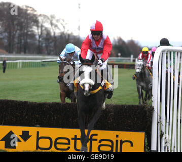 Corse di cavalli - Il Nord-ovest del Masters di Betfair Chase - Haydock Park Foto Stock