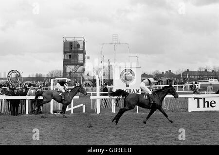 Ultimo sospetto (r), Hywel Davies up, passa il posto per vincere da MR SnugFit (l), Phil Tuck up Foto Stock