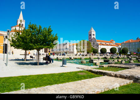 Zeleni trg, città vecchia, Zara, Dalmazia Settentrionale, Croazia, Europa Foto Stock