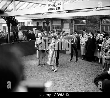 Corse ippiche - il Grand National - Aintree. Vincitore nazionale ESB nel recinto del vincitore dopo la gara Foto Stock