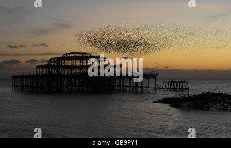 Le stelle si affollano sul molo ovest di Brighton al tramonto. Foto Stock