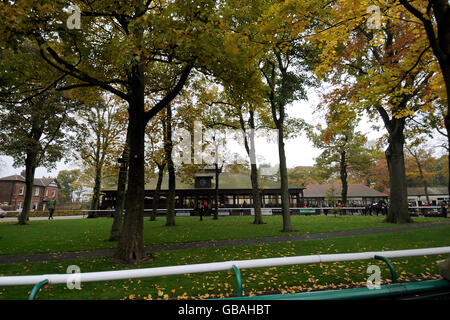 Horse Racing - Benessere Raceday - Haydock Park Foto Stock